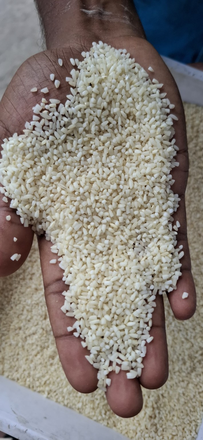 Broken Rice