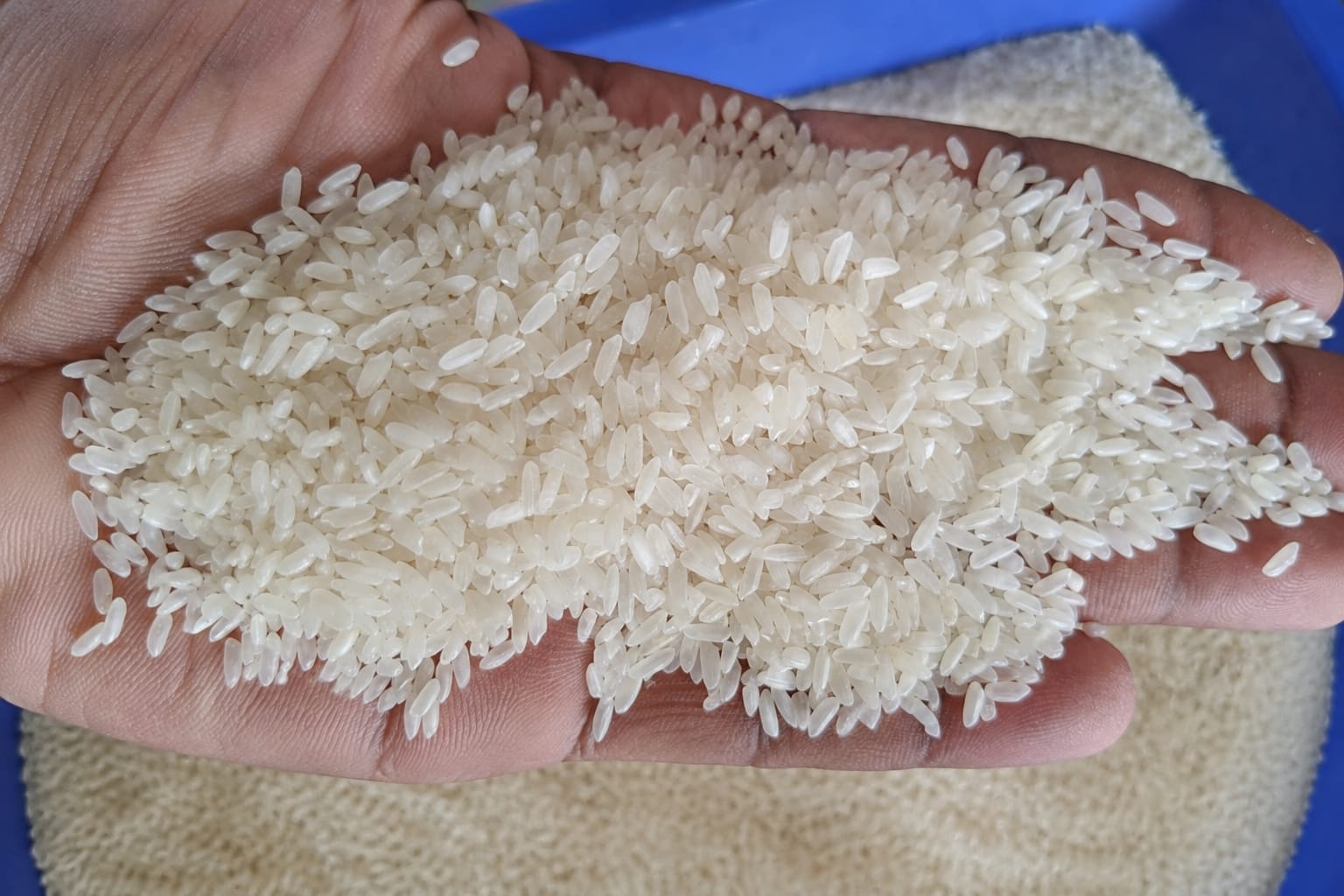 Swarna Rice
